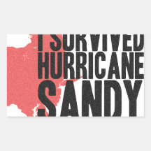 I Survived Hurricane Sandy  T-Shirt Rectangular Stickers