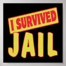 I SURVIVED JAIL POSTERS