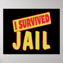 I SURVIVED JAIL POSTERS