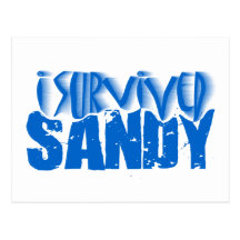 i survived SANDY Postcard