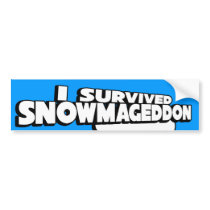 I survived Snowmageddon Bumper Sticker
