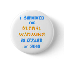 I Survived the Global Warming Blizzard of 2010