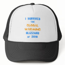 I Survived the Global Warming Blizzard of 2010