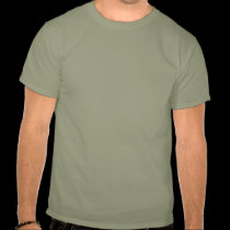 I Survived The Phoenix Earthquake of 2010 t-shirts
