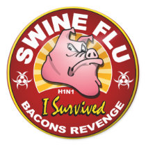 I Survived The Swine Flu - H1N1 Round Sticker