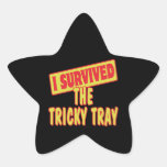 I SURVIVED THE TRICKY TRAY STICKERS