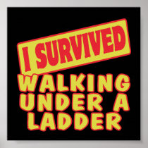 I SURVIVED WALKING UNDER A LADDER POSTERS