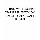 I THINK MY PERSONAL TRAINER IS PRETTY OK CAUSE ... t-shirts