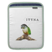 I thought you'd never ask iPad sleeves