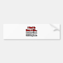 I Used to Have a Life...Civil Engineer Bumper Stickers
