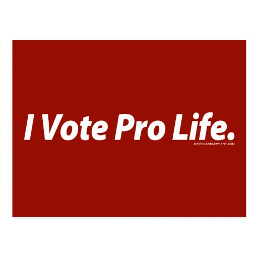 I Vote Pro Life Post Card