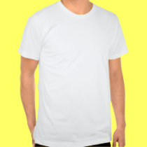 I Voted 2012 t-shirts