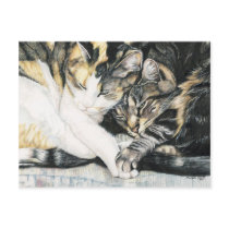 "I Wanna Hold your Paw" Cat Art Postcard