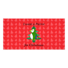 i want a parrot for christmas photo cards