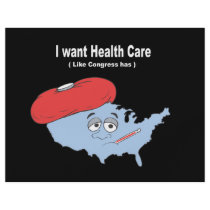 I want Health Care like Congress has Full Color Flyer