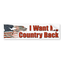 I Want My Country Back sticker Bumper Stickers