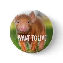 I WANT TO LIVE! PINS