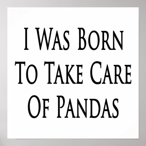 I Was Born To Take Care Of Pandas Poster