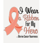 I Wear a Ribbon For My Hero - Uterine Cancer t-shirts