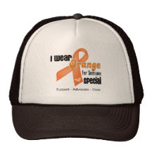 I Wear an Orange Ribbon For Someone Special Hat