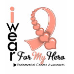 I Wear Endometrial Cancer Ribbon For My Hero t-shirts