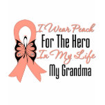 I Wear Peach For The Hero in My Life...My Grandma t-shirts
