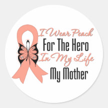 I Wear Peach For The Hero in My Life...My Mother Sticker