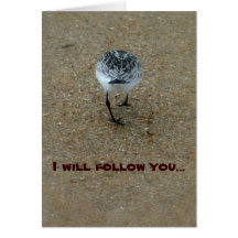 I will follow you cards