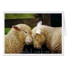 I Woolly Love Ewe Card