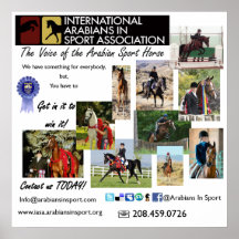 IASA Poster