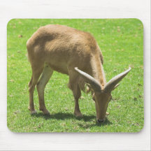 Ibex Mousepads