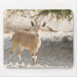 Ibex - Yael Mousepad
