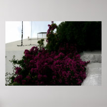Ibiza-Poster.de