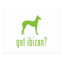 Ibizan Hound Post Cards
