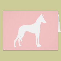 Ibizan Hound (white)  t-shirts, apparel & gifts cards