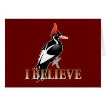 IBWO: I Believe Card