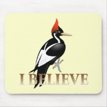 IBWO: I Believe Mouse Pad