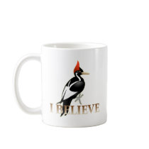 IBWO: I Believe Mug
