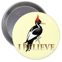 IBWO: I Believe Pin