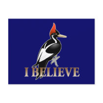 IBWO: I Believe