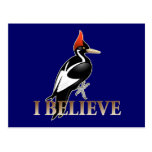 IBWO: I Believe Postcards