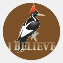 IBWO: I Believe Sticker