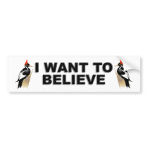 IBWO: I Want To Believe
