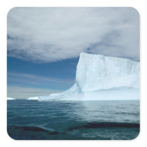 Ice Bergs off of the southern tip of South 2