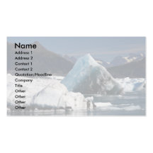 ice business card