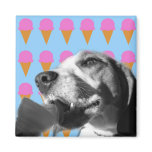 Ice Cream Love Fridge Magnets