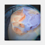 Ice cream magnet
