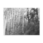 Ice Cycles Postcards