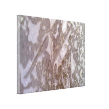 Ice on the ground photo stretched canvas prints