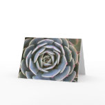 Ice Plant Greeting Cards